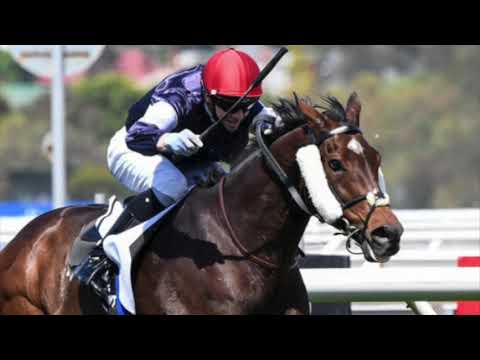 Twilight Payment A 2021 Melbourne Cup Max Watch Horse Youtube
