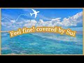 Feel fine! 倉木麻衣 歌ってみた Covered by Sui