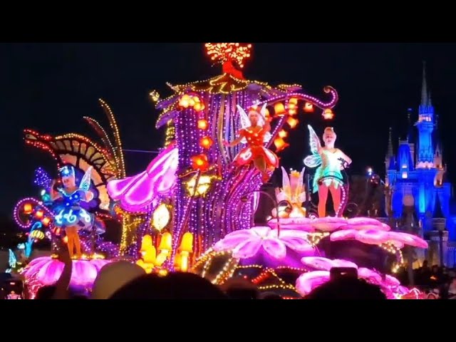 Dreamlights Tokyo Disneyland Electric Light Parade 45 minutes of