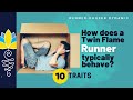 How does a twin flame runner typically behave  10 traits
