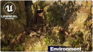 3D Forest Environment | Unreal Engine 5.1