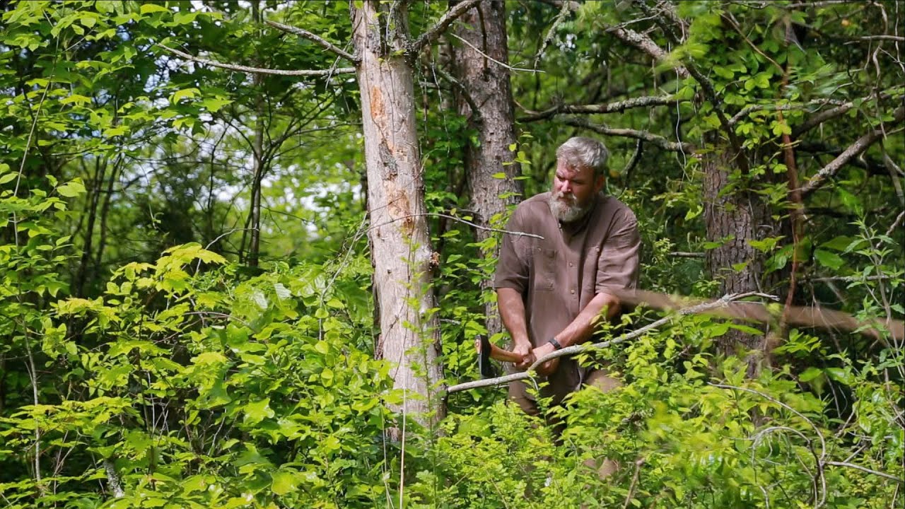 Ask Alan Kay: Solitude