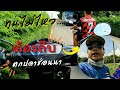 ตกปลาช่อน ถีบเด็กไปส่งบ้าน ตกปลาชะโดธรรมชาติ ด้วย กบยาง เหยื่อปลอม มิ้นท์ สาระลัวร์