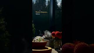 Window Moments 01 Some windows don’t just frame a view—they frame a realisation   That everyone