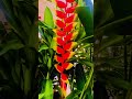 Fake or Real? 😳🌺