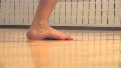 Understanding The Dynamics of the Human Spring