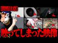 絶対に映ってはいけなかった映像 26選 【総集編】※一部閲覧注意