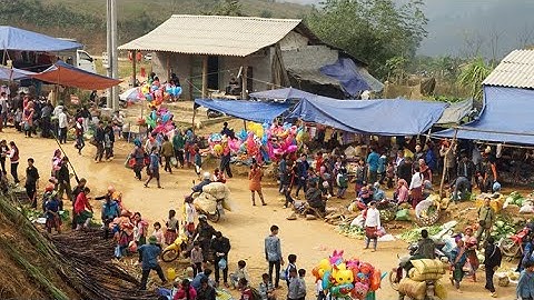Độc Đáo Chợ Phiên Biên Giới CỐC LY Bán Toàn Đồ Rừng | Miền núi tây bắc