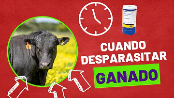 ¿Cuántas veces hay que desparasitar al ganado?