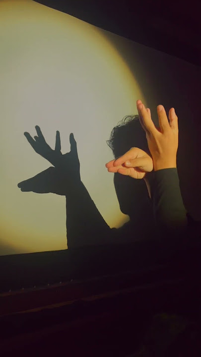 Bayangan tangan keren sekali #shortvideo