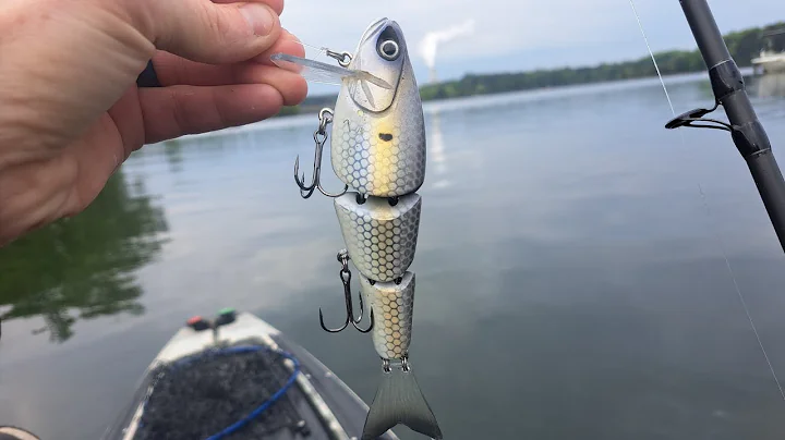 Big baits for big bass Lake Norman