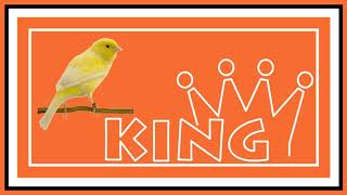 Masal Zamani 🐦Hükümdar İle Bülbül🐦