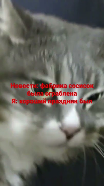 Фабрика сосисок снова была ограблена - YouTube