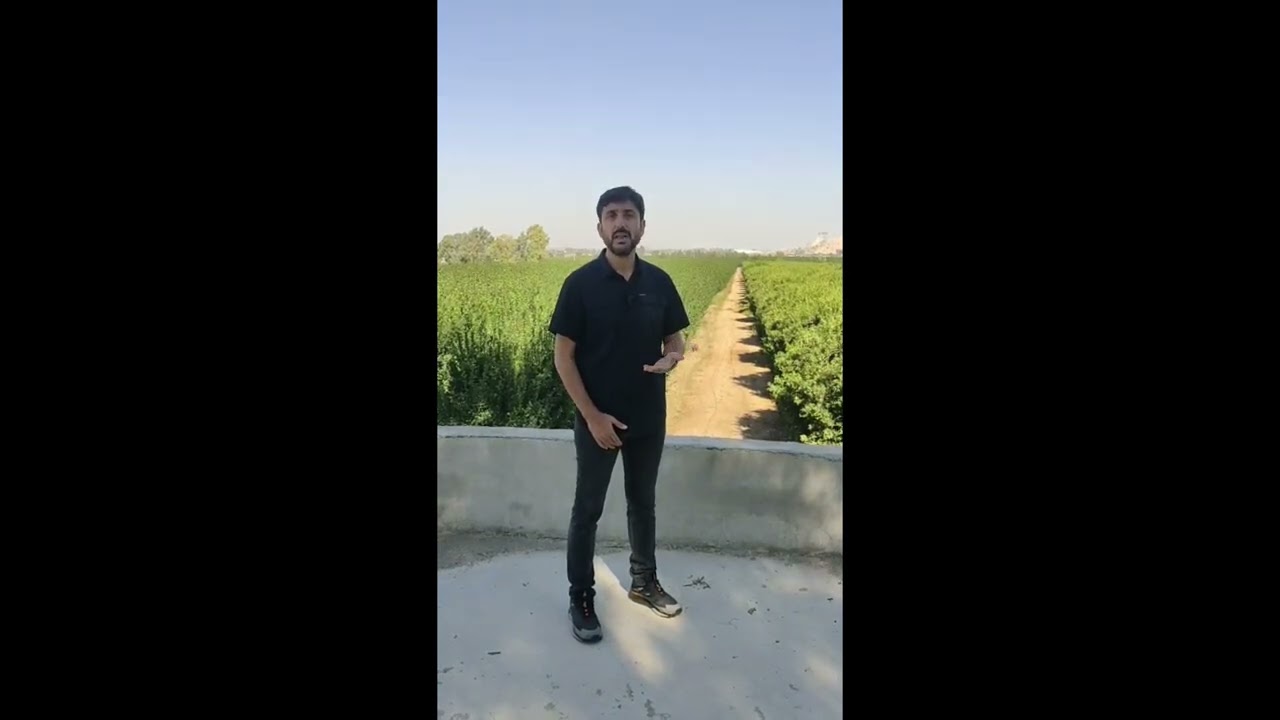 Citrus Grower Case Study from Turkey: How Smart Irrigation Improved Water Efficiency & Fruit Quality