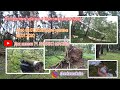 Ураган в Комсомольском парке. Последствия урагана на утро 09.07.2020