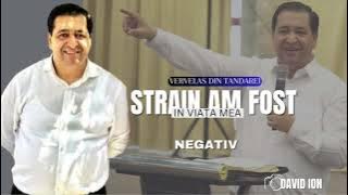 Vervelas Din Țăndărei                          | Străin Am Fost  În Viață Mea Negativ versuri)