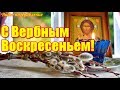 С ВЕРБНЫМ ВОСКРЕСЕНЬЕМ  Красивое видео поздравление  Видео открытка