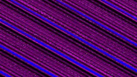 BITS 5011 Demo Intro. MSDOS. i8086.