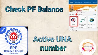 UAN Activation/How to check PF balance using umang app