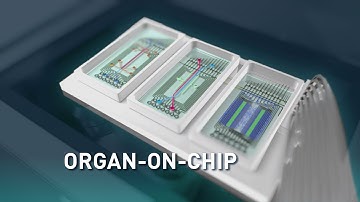TOP - Translational Organ-on-Chip Platform