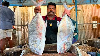 KASIMEDU 🔥 SPEED SELVAM | BIG TREVALLY FISH CUTTING VIDEO | IN KASIMEDU | FF CUTTING 🔪