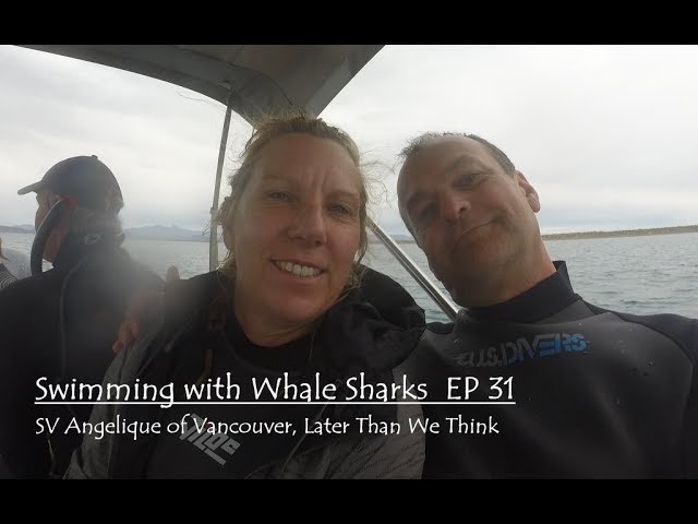 Swimmng with Whale Sharks Ep31, SV Angelique of Vancouver, Later than we Think