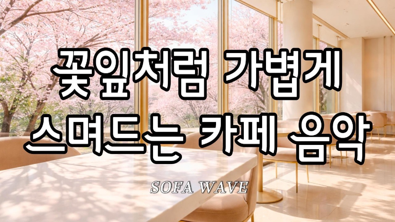 [playlist🎧] 꽃잎처럼 가볍게 스며드는 카페 음악 | ☕ 카페·작업용 감성 플레이리스트