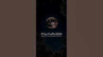 اكتب شيء تؤجر عليه 😴🩶 قران كريم | إسلام صبحي