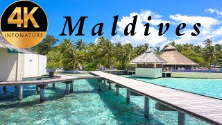 Maldives Scenic Nature Beauty Maldives Resort Maldives Island Video Full Hd 4K Infonature