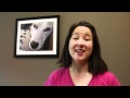 Stop Barking! - Dog Behavior Stop Barking! - Dog Behavior