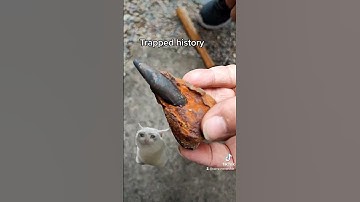 Releasing the history #shorts #shortsvideo #metaldetecting #military #artefact #viral #50cal #bullet