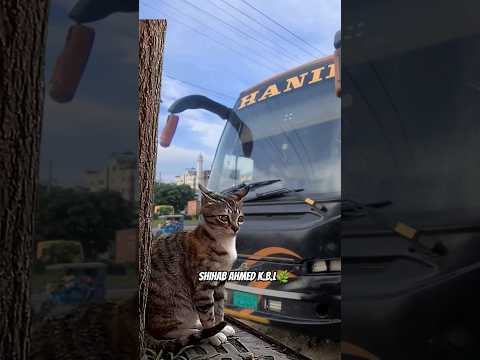 Hanif Volvo Bus in Bangladesh | luxury AC bus in Bangladesh🌿