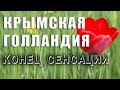 Куда делось самое большое поле тюльпанов в мире. Крымская Голландия осталась лишь на фотографиях.