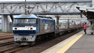 2019/05/31 JR Freight: Cargo by EF210-159 at Kiyosu