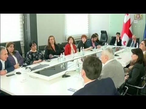 შეხვედრა განათლების ექსპერტებთან