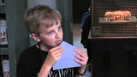 Ellen Experiences 'The Wizarding World of Harry Po...