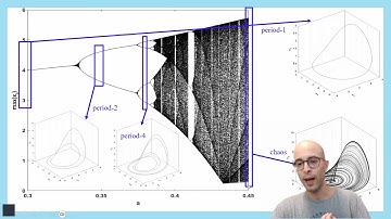 Explaining the Bifurcation Diagram using Local Maxima