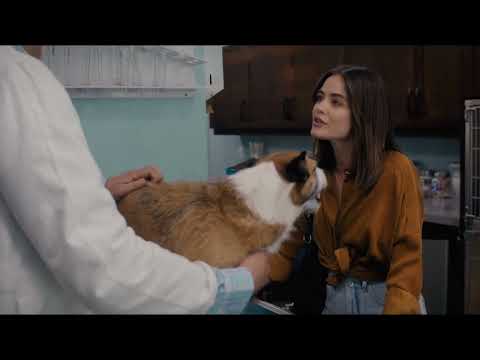 Puppy Love (2023) Clip: Vet Visit [EXCLUSIVE]