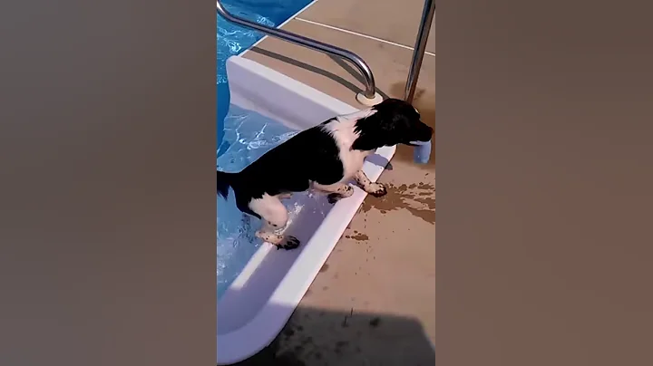 Reagan goes swimming!
