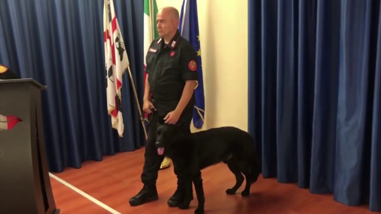 Carabinieri  Cagliari arrestato autotrasportatore di Desulo fermato con arsenale 01 08 20