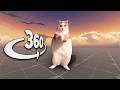 Cat Dancing to EDM in VR/360° Video