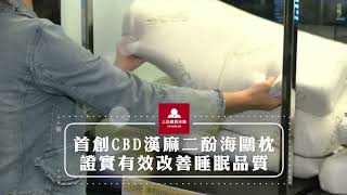 上品寢具首創CBD漢麻二酚海鷗枕　有效改善睡眠品質