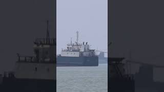 Watch as Ships Are Seen Sailing Through the Strait of Hormuz #shorts