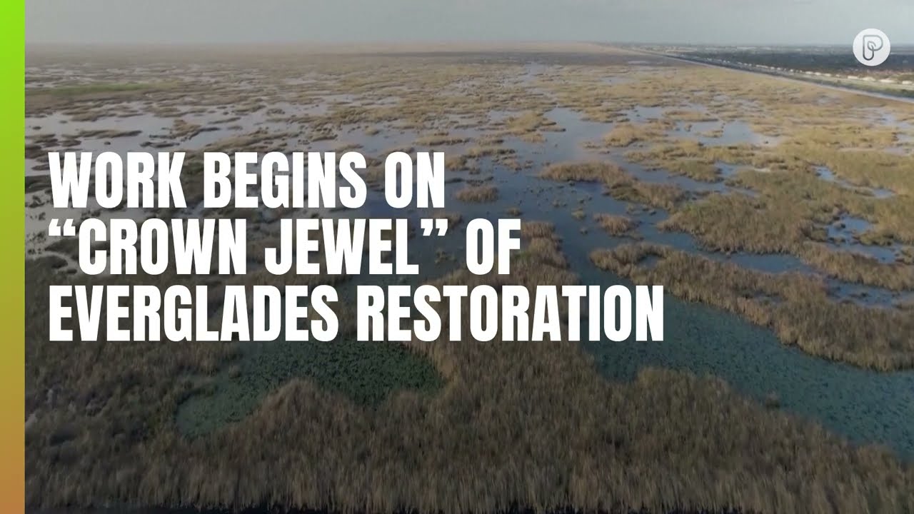 Restoring the Everglades