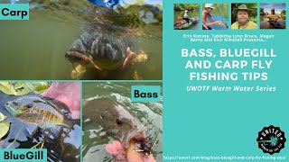 What Flies to use in a heavy pressure desert lake (bass, bluegill,carp and  cats) : r/flyfishing