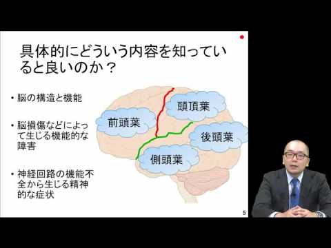 サンプル動画： 心理職のための神経科学（脳科学）入門：国里愛彦