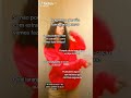-::IB:TKK}| Tags:#desflopacomu #saiflop #audio #vem70k