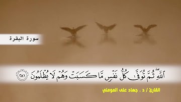 سورة البقرة من ( ايه 272 ) الى ( ايه 282 ) بصوت القارئ د.جهاد المومني