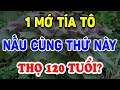 V gi c ung ta t nu cng th ny hi sinh gan thn th 120 tui  trit l tinh hoa