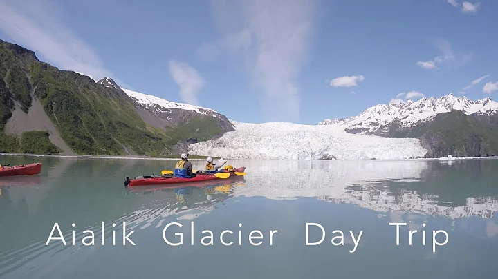 Aialik Glacier & Wildlife Day Trip